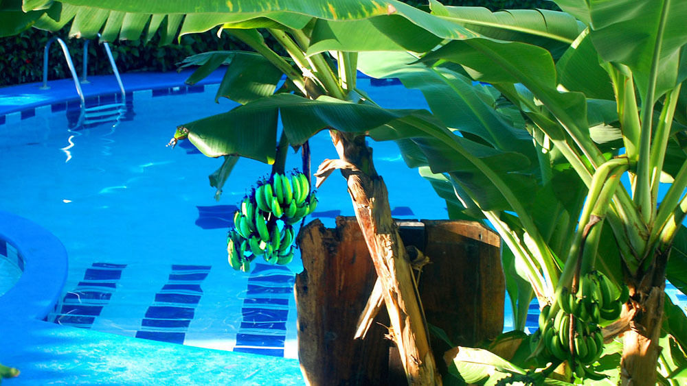 Hotel South Beach - Beachfront Jacó Exteriér fotografie